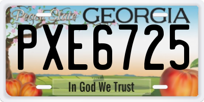 GA license plate PXE6725