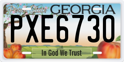 GA license plate PXE6730