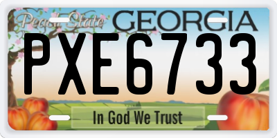 GA license plate PXE6733
