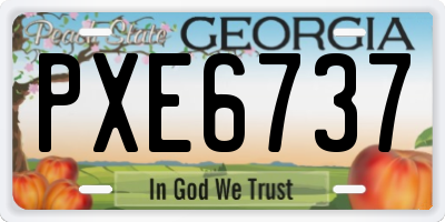 GA license plate PXE6737