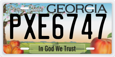 GA license plate PXE6747
