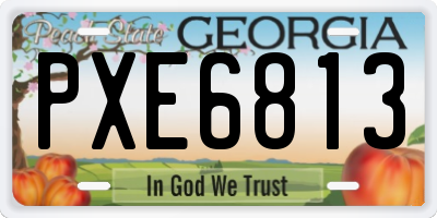 GA license plate PXE6813