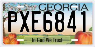 GA license plate PXE6841