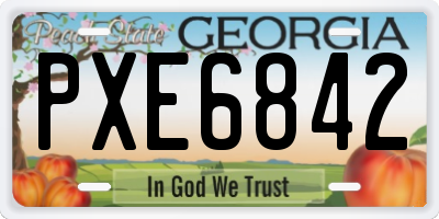 GA license plate PXE6842