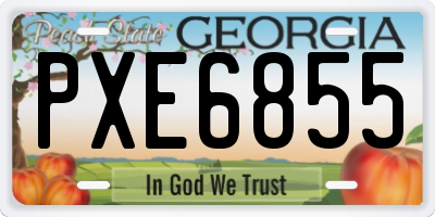 GA license plate PXE6855