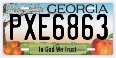 GA license plate PXE6863