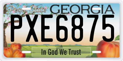 GA license plate PXE6875