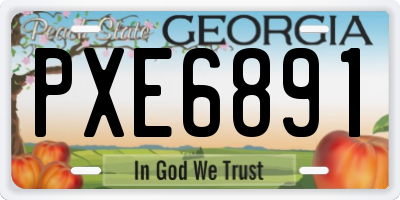 GA license plate PXE6891