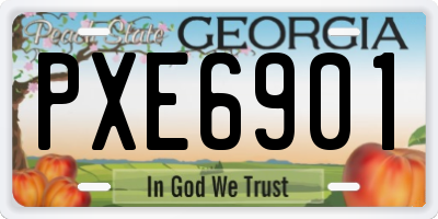 GA license plate PXE6901