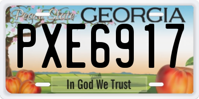 GA license plate PXE6917