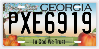 GA license plate PXE6919