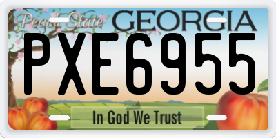GA license plate PXE6955