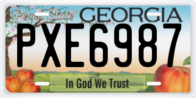 GA license plate PXE6987