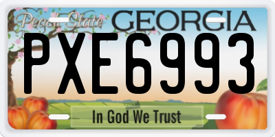 GA license plate PXE6993