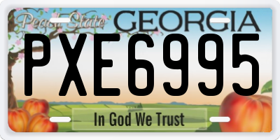 GA license plate PXE6995