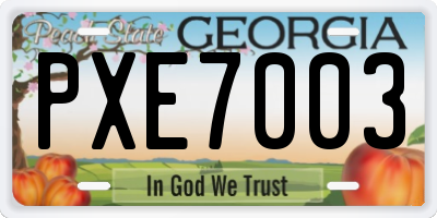 GA license plate PXE7003