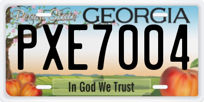 GA license plate PXE7004