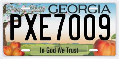 GA license plate PXE7009
