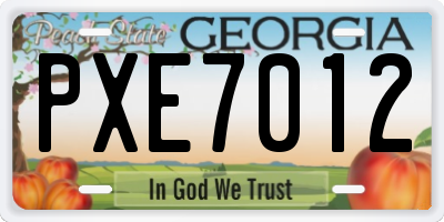 GA license plate PXE7012