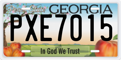 GA license plate PXE7015