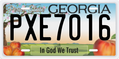 GA license plate PXE7016