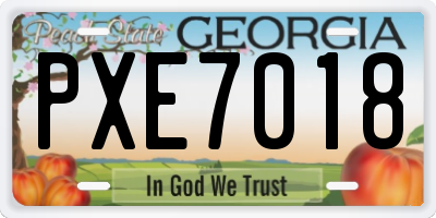 GA license plate PXE7018