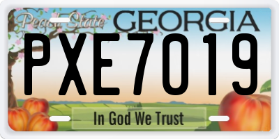 GA license plate PXE7019