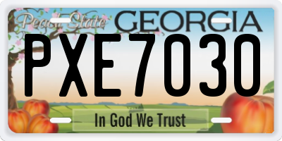 GA license plate PXE7030