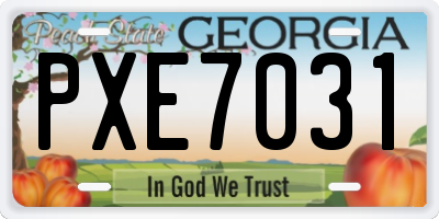 GA license plate PXE7031