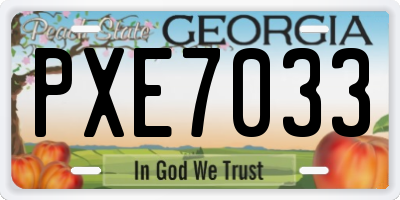 GA license plate PXE7033