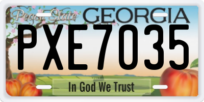 GA license plate PXE7035