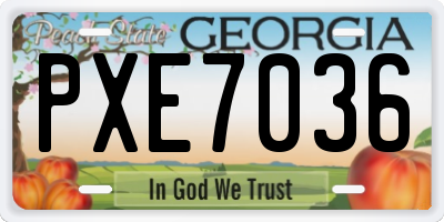 GA license plate PXE7036