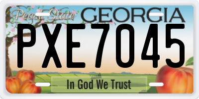 GA license plate PXE7045