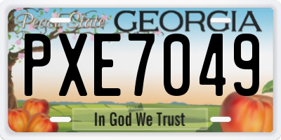 GA license plate PXE7049