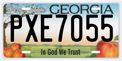 GA license plate PXE7055