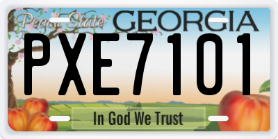 GA license plate PXE7101