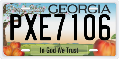 GA license plate PXE7106