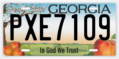 GA license plate PXE7109