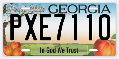 GA license plate PXE7110
