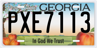 GA license plate PXE7113