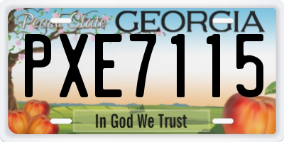 GA license plate PXE7115