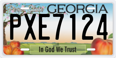 GA license plate PXE7124