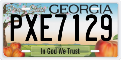 GA license plate PXE7129