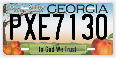 GA license plate PXE7130