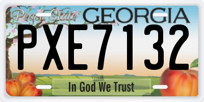 GA license plate PXE7132