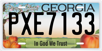 GA license plate PXE7133