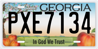 GA license plate PXE7134