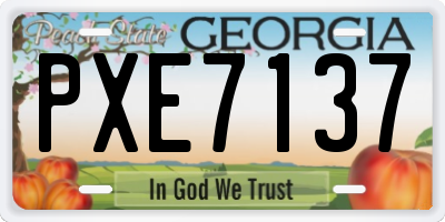 GA license plate PXE7137