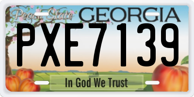GA license plate PXE7139