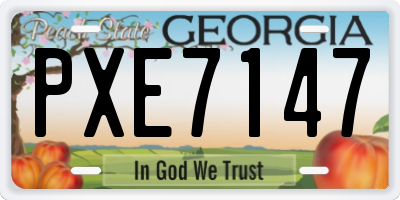 GA license plate PXE7147